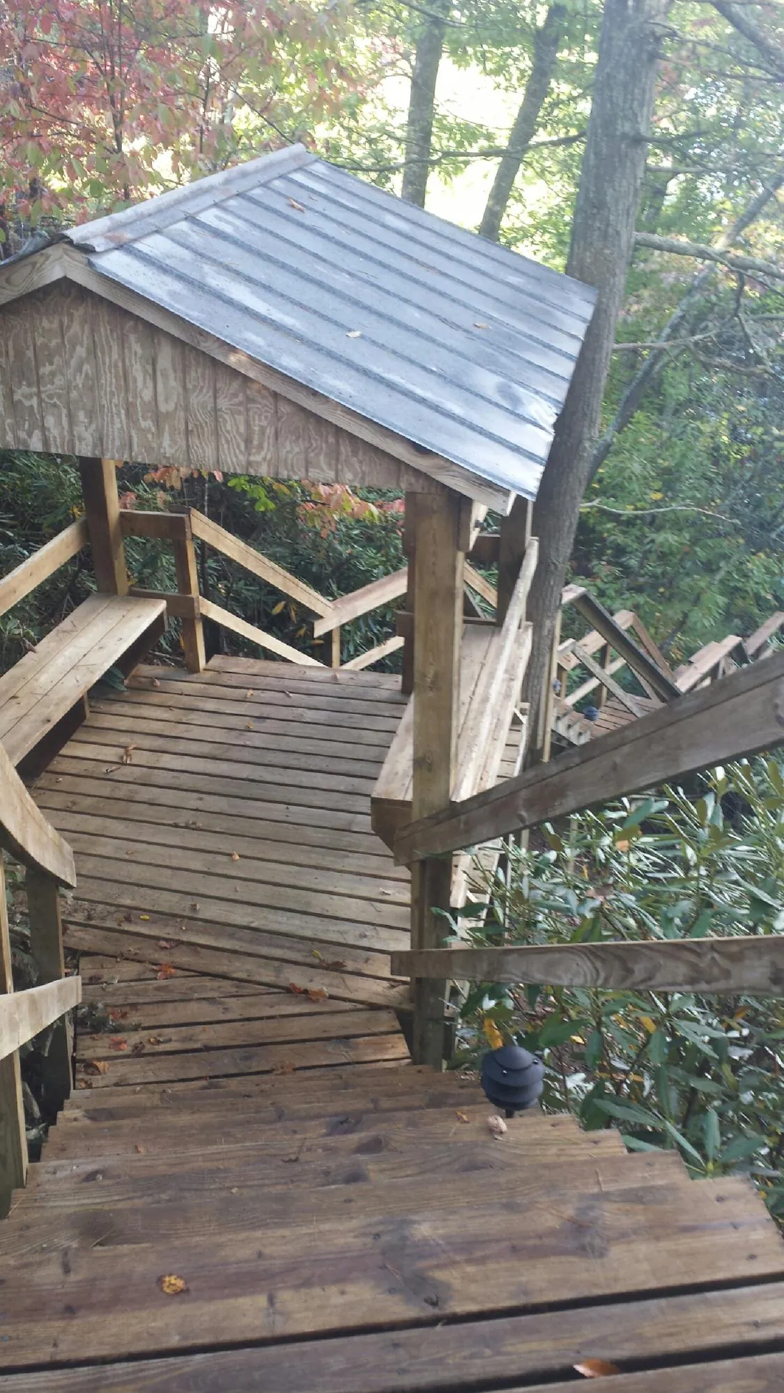 Metal roofed shelter over wooden steps on a wooded walkway — Skylight Repair & Installation work by our crew in Hestand